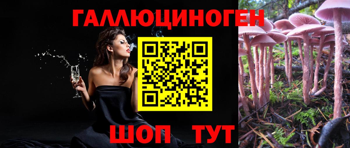 Псилоцибиновые грибы Psilocybine cubensis  Вход с VPN  Малгобек 